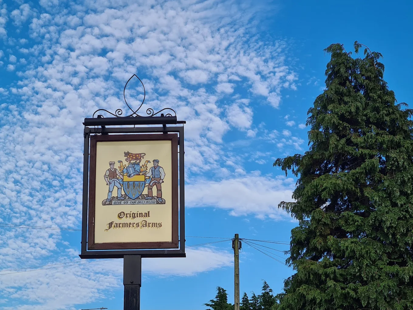 Chicken Kiev with roast potatoes
